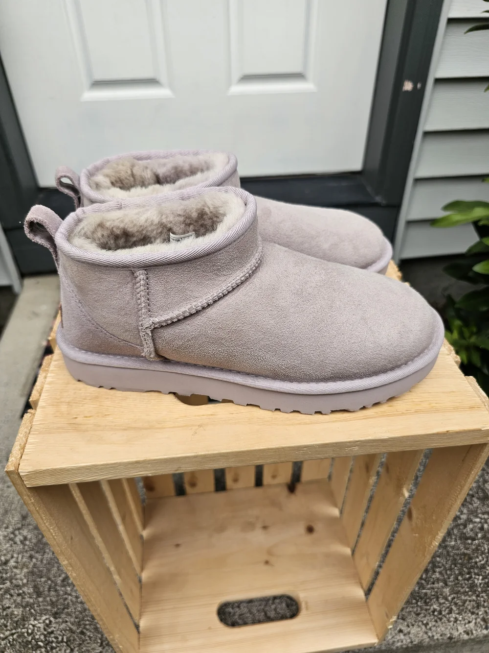 UGG Women's Classic Mini Booties in Light Gray